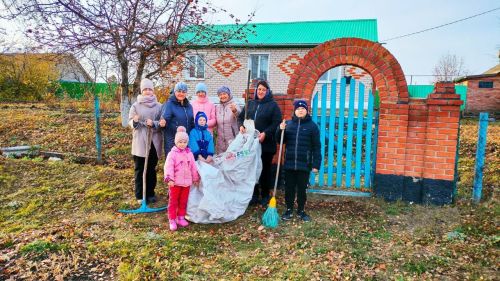 Активисты района помогли навести порядок у дома пенсионерки