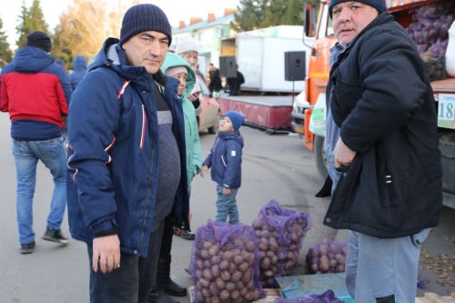 Свежие овощи, угощения и подарки: в Алексеевском прошла сельскохозяйственная ярмарка