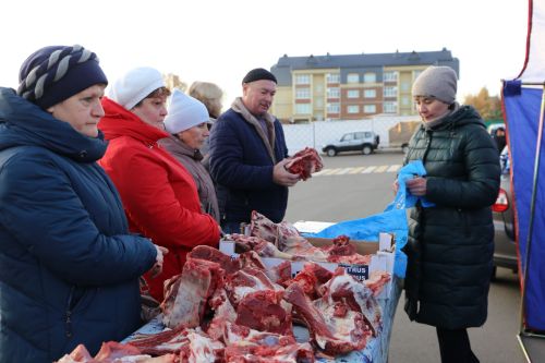 Свежие овощи, угощения и подарки: в Алексеевском прошла сельскохозяйственная ярмарка