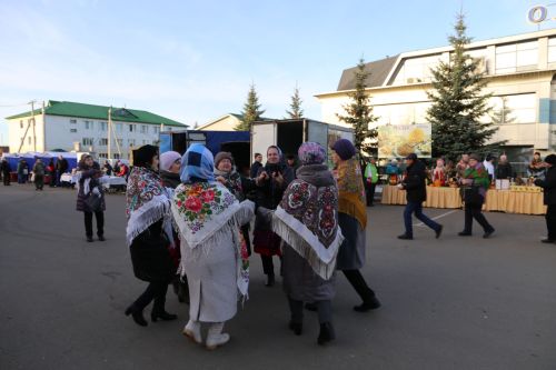 Свежие овощи, угощения и подарки: в Алексеевском прошла сельскохозяйственная ярмарка