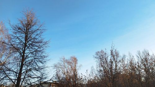 Прогноз погоды на 5 ноября