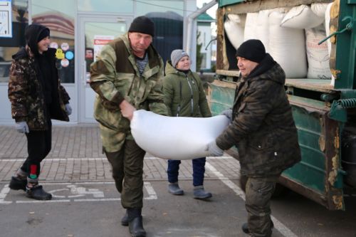 Свежие овощи, угощения и подарки: в Алексеевском прошла сельскохозяйственная ярмарка