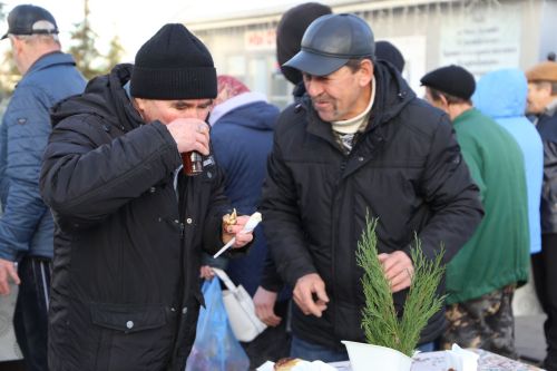 Свежие овощи, угощения и подарки: в Алексеевском прошла сельскохозяйственная ярмарка
