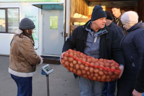 Свежие овощи, угощения и подарки: в Алексеевском прошла сельскохозяйственная ярмарка