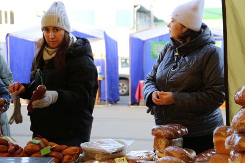 Свежие овощи, угощения и подарки: в Алексеевском прошла сельскохозяйственная ярмарка