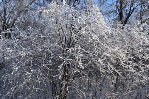 Прогноз погоды на 12 декабря