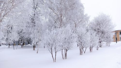 Прогноз погоды на 9 декабря