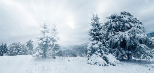 Оперативный прогноз погоды на 24 февраля
