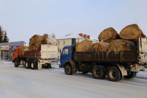 В Алексеевском состоялась сельскохозяйственная ярмарка