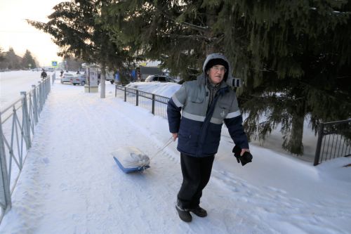 В Алексеевском состоялась сельскохозяйственная ярмарка