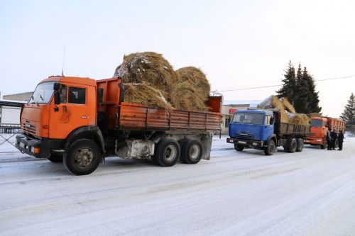 В Алексеевском состоялась сельскохозяйственная ярмарка