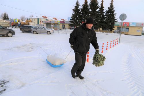 В Алексеевском состоялась сельскохозяйственная ярмарка
