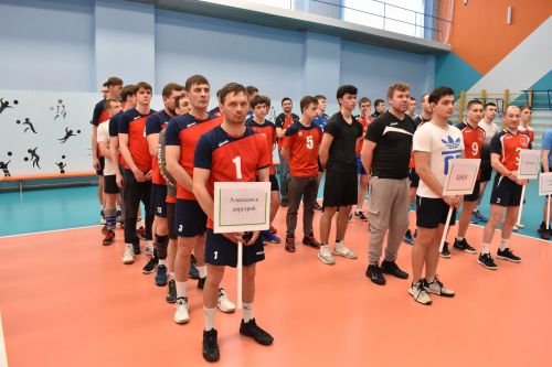 В Алексеевском проходит тридцатый турнир по волейболу памяти Германа Боровикова
