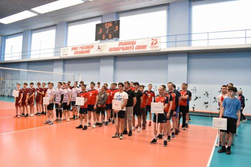 В Алексеевском проходит тридцатый турнир по волейболу памяти Германа Боровикова
