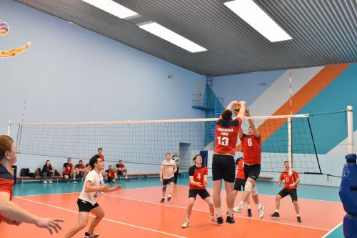 В Алексеевском проходит тридцатый турнир по волейболу памяти Германа Боровикова