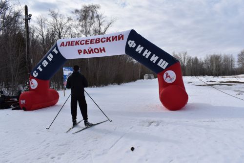 В Алексеевском прошел зональный этап соревнований по лыжным гонкам среди учащихся средних учебных заведений