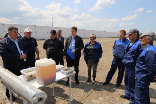 В Алексеевском районе проверили готовность кормозаготовительной техники