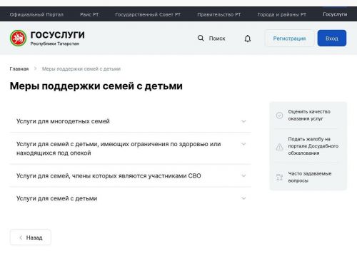 На сайте госуслуг Татарстана появился раздел «Меры поддержки семьям с детьми»