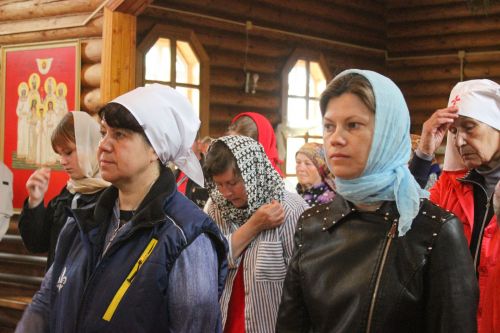 В Алексеевском верующие три дня шли к месту обретения иконы Божией Матери «Живоносный источник»
