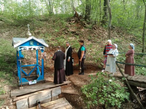 В Алексеевском верующие три дня шли к месту обретения иконы Божией Матери «Живоносный источник»