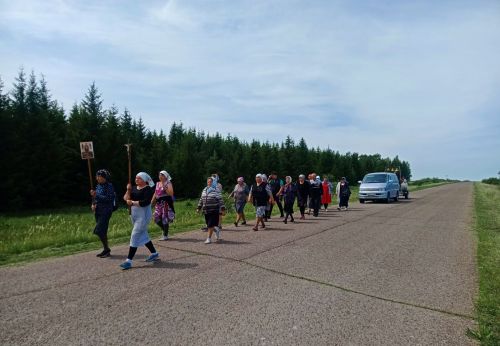 В Алексеевском верующие три дня шли к месту обретения иконы Божией Матери «Живоносный источник»