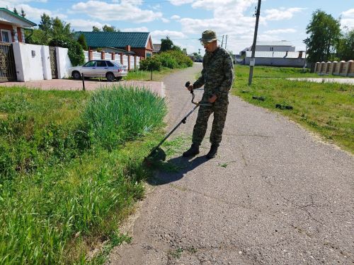 Сотрудники газеты «Заря» привели в порядок закрепленную за редакцией территорию