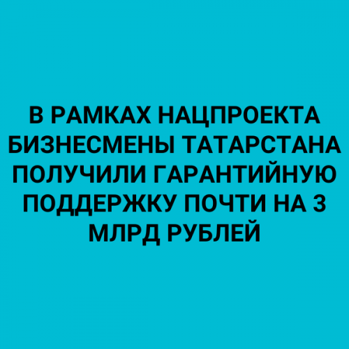 В рамках нацпроекта бизнесмены Татарстана получили гарантийную поддержку почти на 3 млрд рублей