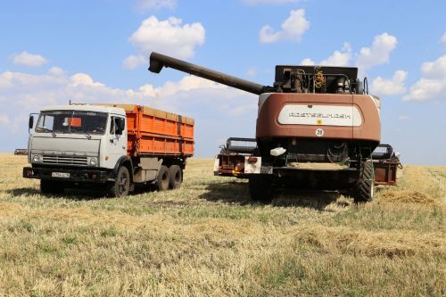 Погода в Алексеевском 19 августа