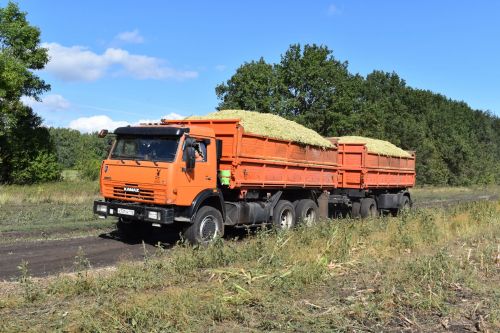 В Алексеевском районе продолжается заготовка кормов