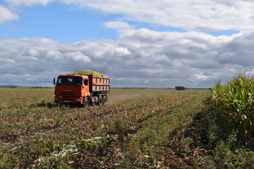 В Алексеевском районе продолжается заготовка кормов