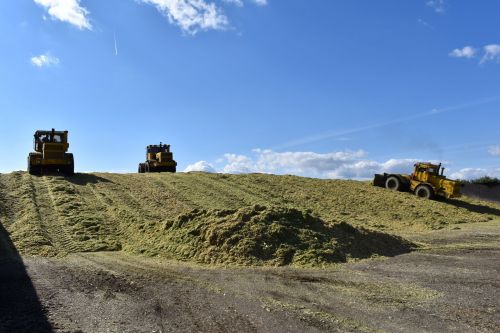 В Алексеевском районе продолжается заготовка кормов