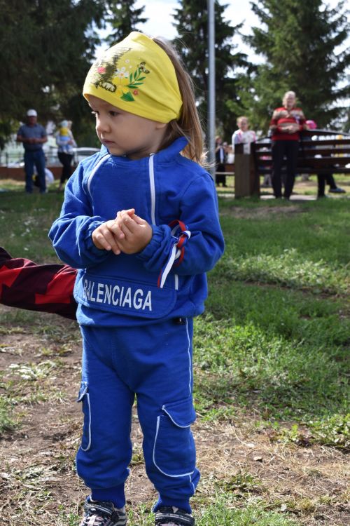 В Алексеевском прошло мероприятие ко дню Флага Россиийской Федерации