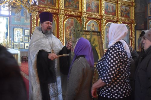 Алексеевцы празднуют Крещение Господне
