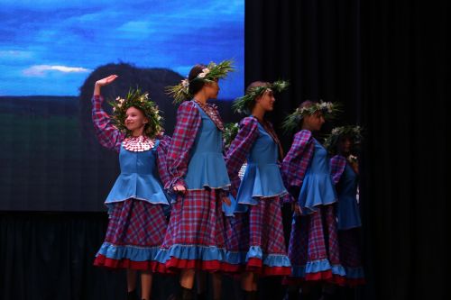 В Алексеевском прошел концерт, посвященный открытию Года семьи