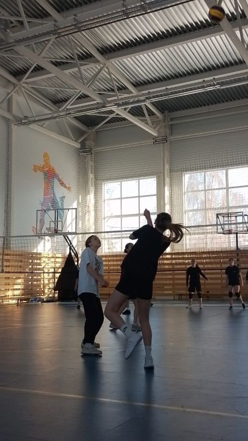 В Алексеевском состоялся муниципальный этап Турнира «Школьная Волейбольная Лига»