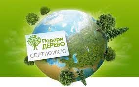 С 16 апреля в Татарстане стартует экомарафон по сдаче макулатуры