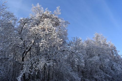 Прогноз погоды на 6 марта