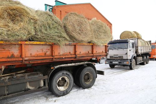 Алексеевцы проводили зиму широкой масленицей