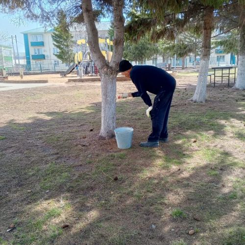 В Алексеевском районе завершили второй общепоселковый субботник