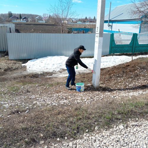 В Алексеевском районе завершили второй общепоселковый субботник