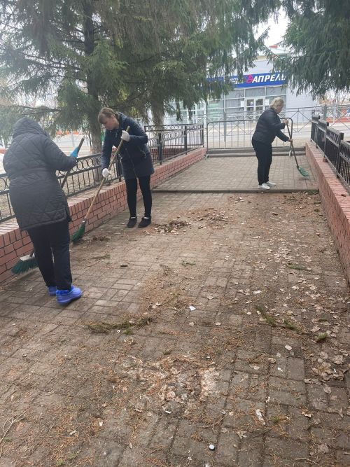 В Алексеевском районе завершили второй общепоселковый субботник