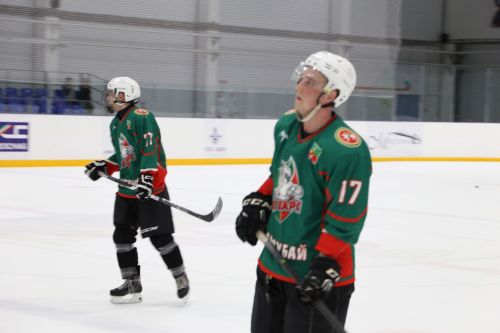 Алексеевцы завоевали призовое место на Кубке первенства РТ по хоккею