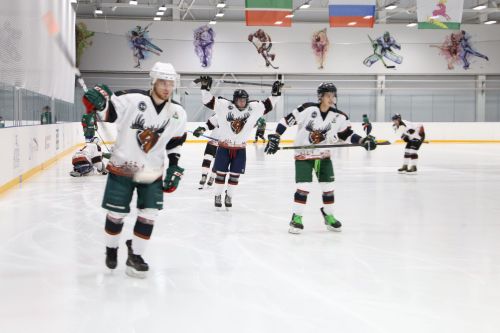 Алексеевцы завоевали призовое место на Кубке первенства РТ по хоккею