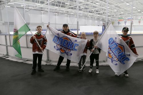 Алексеевцы завоевали призовое место на Кубке первенства РТ по хоккею