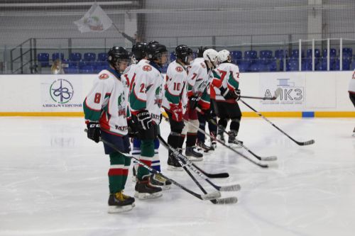 Алексеевцы завоевали призовое место на Кубке первенства РТ по хоккею