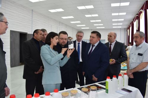 В Алексеевском районе прошел ежегодный съезд пчеловодов