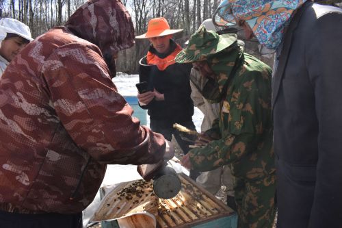 В Алексеевском районе прошел семинар-практикум пчеловодов Татарстана