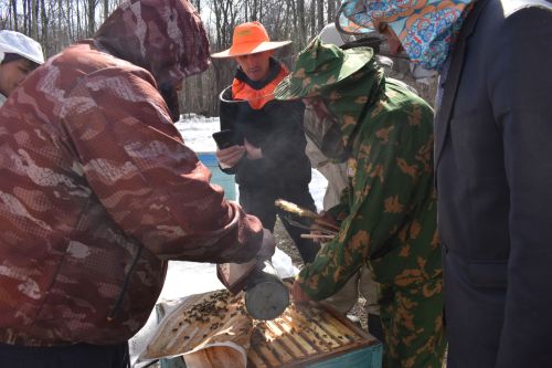 В Алексеевском районе прошел семинар-практикум пчеловодов Татарстана