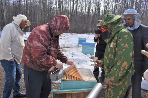 В Алексеевском районе прошел семинар-практикум пчеловодов Татарстана