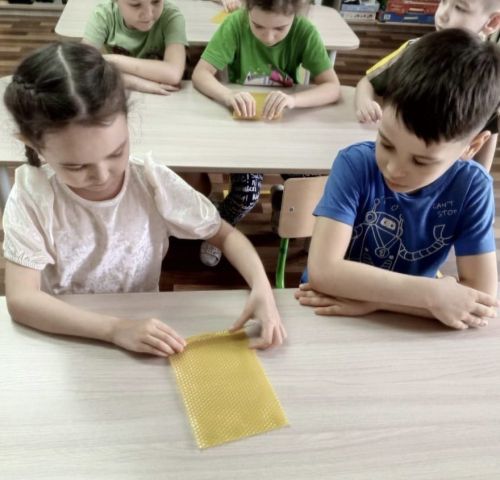 Алексеевцы участвуют в акции «Мы за раздельный сбор»
